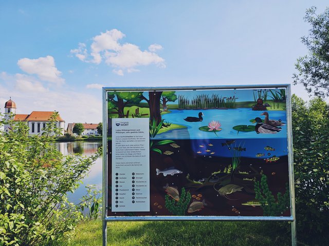 Plakat, welches die Fischarten, die im Dorfmühlweiher angesiedelt sind, aufzeigt.